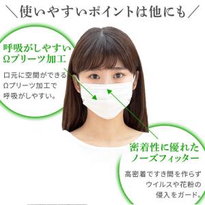 マスク 不織布 30枚 アイリスオーヤマ 不織...の詳細画像4