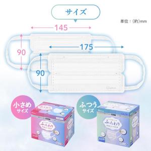 マスク 不織布 100枚入 アイリスオーヤマ ...の詳細画像2