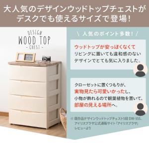 レターケース A4 引き出し 書類ケース 浅型...の詳細画像4