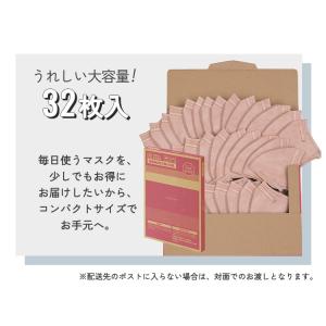 マスク 不織布 立体 アイリスオーヤマ 32枚...の詳細画像3