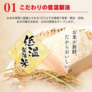 パックご飯 200g 24食 レトルトご飯 パ...の詳細画像4