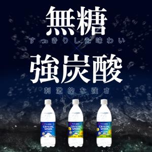 炭酸水 500ml 24本 富士山の強炭酸水 ...の詳細画像1