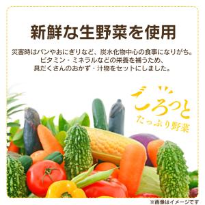 非常食 非常食セット 保存食 レトルト食品 防...の詳細画像5