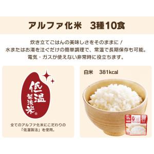 非常食 非常食セット 防災食 アルファ米 3種...の詳細画像4