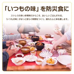 非常食セット 防災グッズ 防災食セット 10種...の詳細画像1