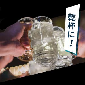 炭酸水 500ml 24本 強炭酸水 アイリス...の詳細画像5