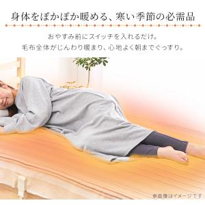 電気毛布 敷き毛布 掛け毛布 掛け敷き兼用 1...の詳細画像1