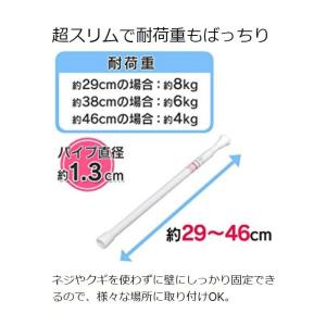 つっぱり棒 伸縮棒 アイリスオーヤマ 幅29〜...の詳細画像2