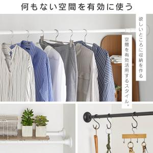 つっぱり棒 伸縮棒 スタイル伸縮棒 強力突っ張...の詳細画像1