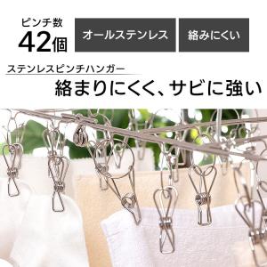ピンチハンガー ステンレス 42個 洗濯ハンガ...の詳細画像1
