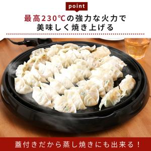 ホットプレート 大型 焼肉 アイリスオーヤマ ...の詳細画像1