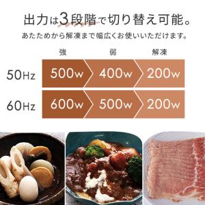 電子レンジ オーブンレンジ フラット アイリス...の詳細画像5