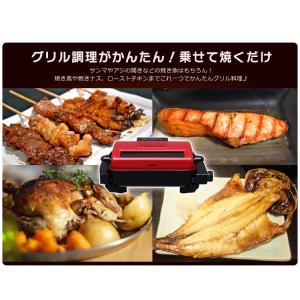 魚焼きグリル 魚焼き器 アイリスオーヤマ フィ...の詳細画像1