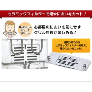 魚焼きグリル 魚焼き器 アイリスオーヤマ フィ...の詳細画像4