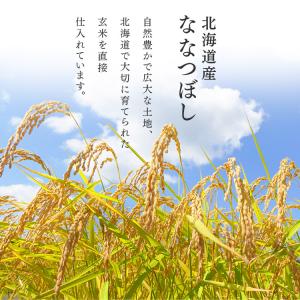 米 1.5kg お米 ご飯 ごはん 白米 無洗...の詳細画像5