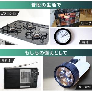 BIGCAPA basic+ 単1形アルカリ乾...の詳細画像2