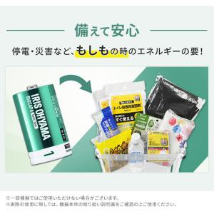 BIGCAPA basic+ 単1形アルカリ乾...の詳細画像3