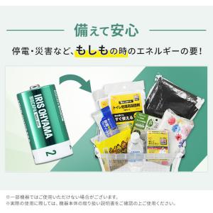 BIGCAPA basic+ 単2形アルカリ乾...の詳細画像3