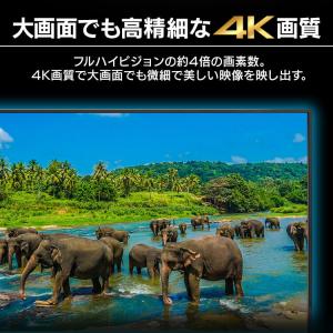 モニター 65インチ アイリスオーヤマ 4K ...の詳細画像1
