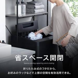 [公式] 洗濯機 縦型 5kg アイリスオーヤ...の詳細画像4