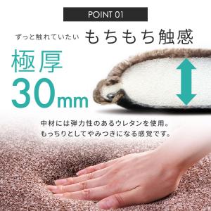 ラグ カーペット 厚手 2畳 北欧 ラグマット...の詳細画像5