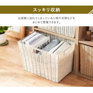カラーボックス 収納 引き出し アイリスオーヤ...の詳細画像4