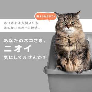 猫 トイレ シート トイレシート ペットシーツ...の詳細画像2