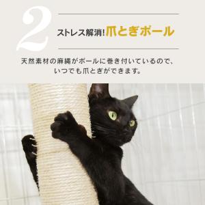 猫 ケージ キャットケージ 3段 スリム 大型...の詳細画像5
