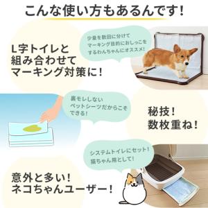 ペットシーツ ワイド レギュラー 薄型 業務用...の詳細画像5