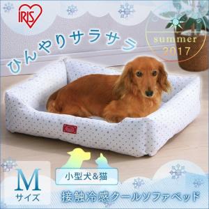 犬用アルミプレートランキング ギガランキングｊｐ