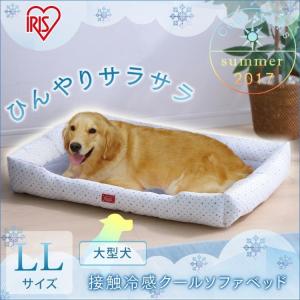 犬用アルミプレートランキング ギガランキングｊｐ