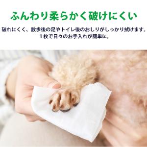 ウェットティッシュ ペット用 ノンアルコール ...の詳細画像1