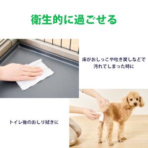 ウェットティッシュ ペット用 ノンアルコール ...の詳細画像3