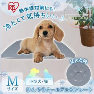 犬用アルミプレートランキング ギガランキングｊｐ