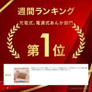 電気あんか 山形 あんか 足元 暖房 マイナス...の詳細画像1