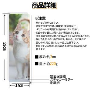 姿見 壁掛け 鏡 貼る鏡 割れないミラー 全身...の詳細画像5