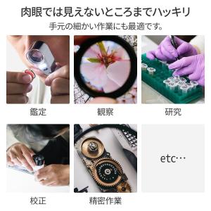 ルーペ 拡大鏡 ライト付き 携帯 ジュエリール...の詳細画像2