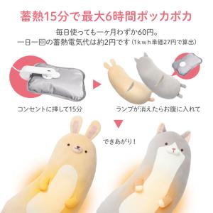 湯たんぽ 充電式 クリスマスプレゼント 子供 ...の詳細画像2