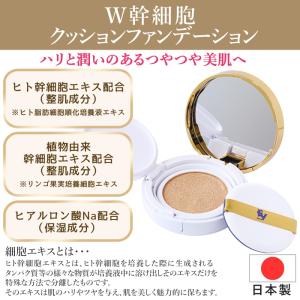 クッションファンデーション 日本製 クッション...の詳細画像2