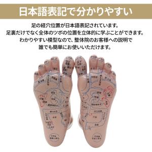 足つぼ 模型 足裏 反射区 日本語 足つぼマッ...の詳細画像1
