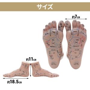 足つぼ 模型 足裏 反射区 日本語 足つぼマッ...の詳細画像3