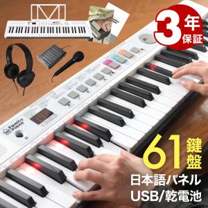 電子ピアノ 折りたたみ 88鍵盤 TORTE PH-88X 単品〔ペダル・ケース付き