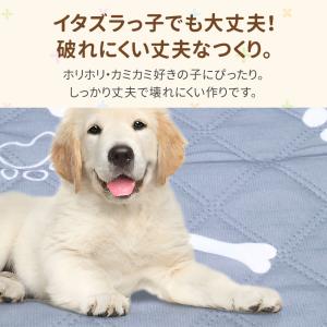 ペットシーツ シート 洗える ワイド レギュラ...の詳細画像1