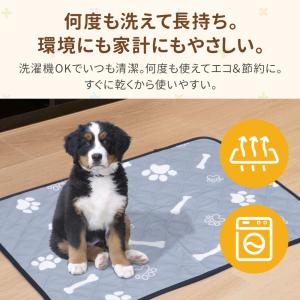 ペットシーツ シート 洗える ワイド レギュラ...の詳細画像2