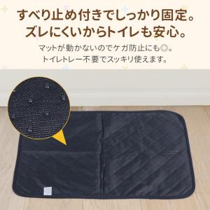 ペットシーツ シート 洗える ワイド レギュラ...の詳細画像4