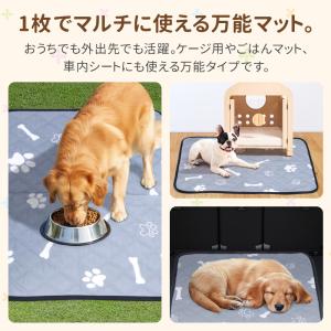 ペットシーツ シート 洗える ワイド レギュラ...の詳細画像5