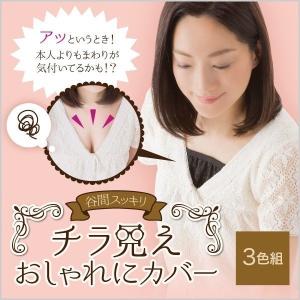 ブラカバー 谷間隠し 胸元カバー チラ見え防止 胸元 谷間 ブラジャー 襟元 Vネック Uネック ブラに着けるだけ ドレスアップ胸元カバー
