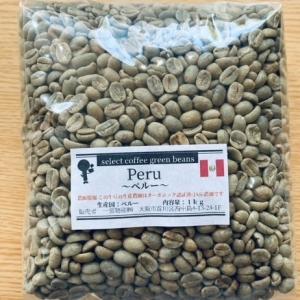 エピー　いりたて名人　コーヒー豆家庭焙煎器 家庭焙煎お試しセット