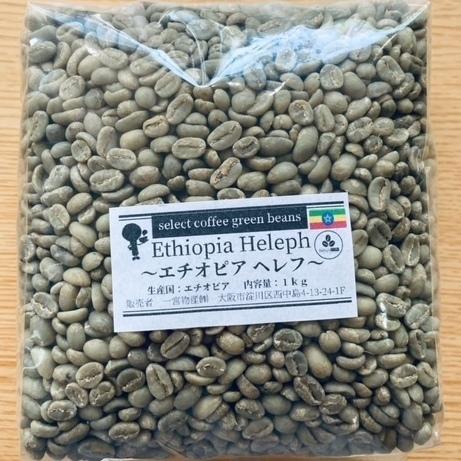 コーヒー豆　生豆　《ウォッシュド》エチオピア・ヘレフG1 　１kg　ご家庭で手軽にコーヒー焙煎