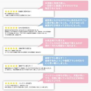 PECHAM ジェットウォッシャー 強力 【あ...の詳細画像2